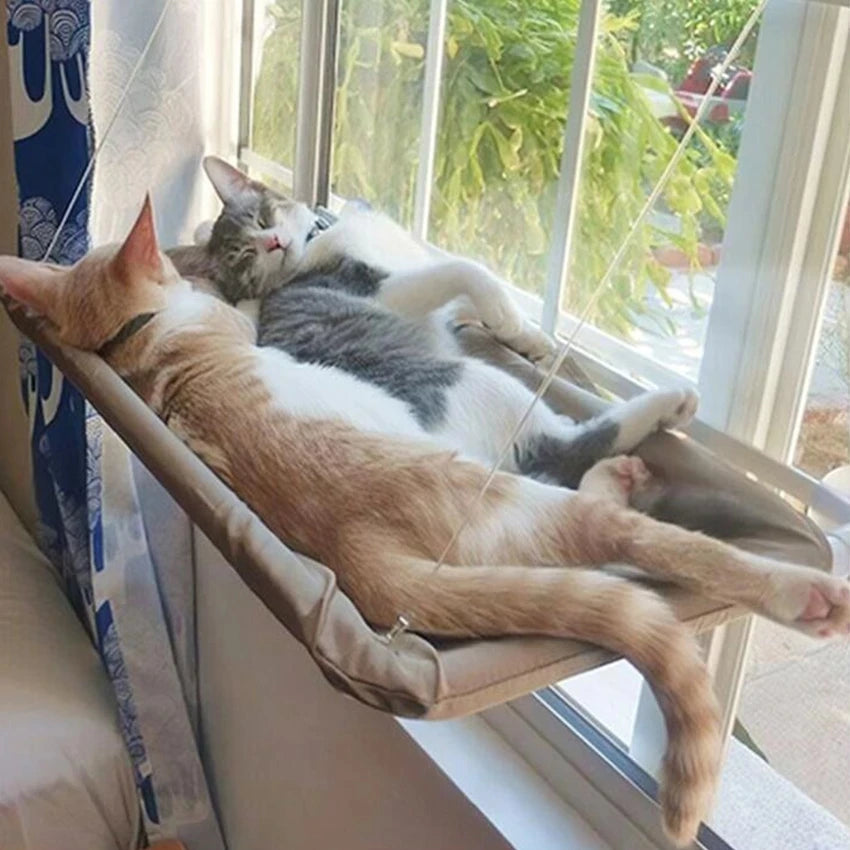 Elevated Cat Hammock: Aerial Bed for Cats with Climbing Frame and Sunny Window Seat, Supports Up to 20kg, Ideal for Winter Use